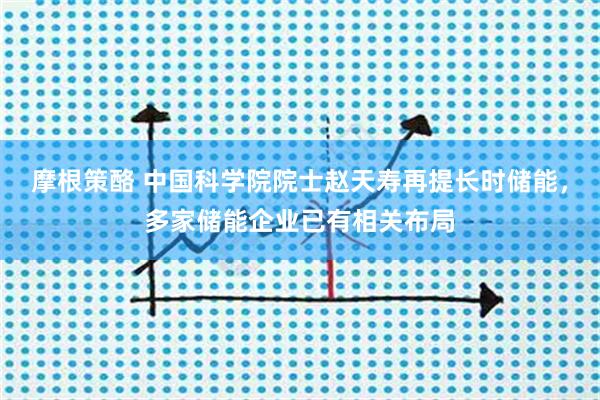 摩根策酪 中国科学院院士赵天寿再提长时储能，多家储能企业已有相关布局