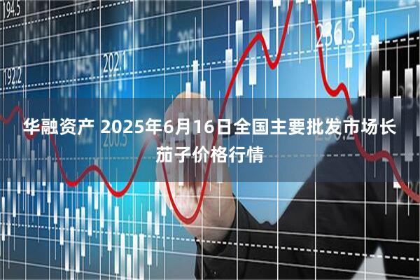 华融资产 2025年6月16日全国主要批发市场长茄子价格行情