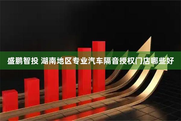 盛鹏智投 湖南地区专业汽车隔音授权门店哪些好
