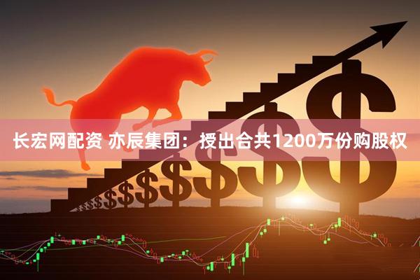 长宏网配资 亦辰集团：授出合共1200万份购股权
