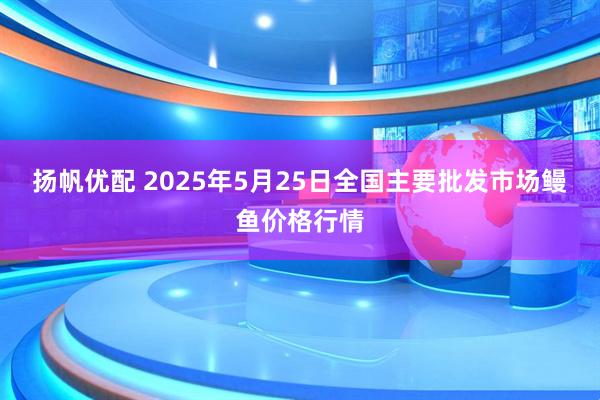 扬帆优配 2025年5月25日全国主要批发市场鳗鱼价格行情