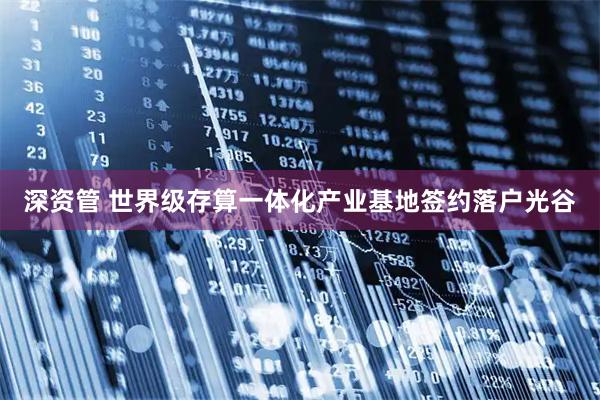 深资管 世界级存算一体化产业基地签约落户光谷